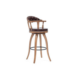 Brandy Bar Stool